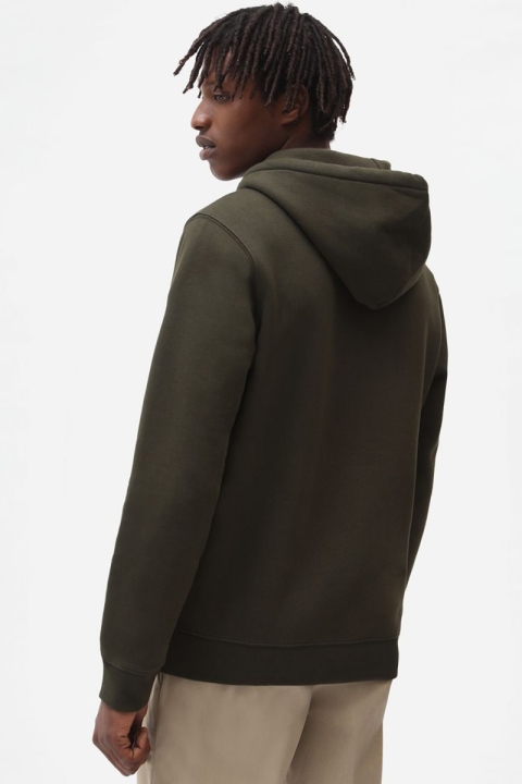 Dickies OAKPORT HOODIE OLIVE GREEN