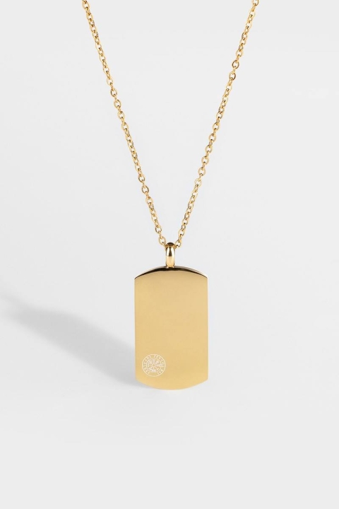 Northern Legacy Vegvisir Tag Ketting Guld