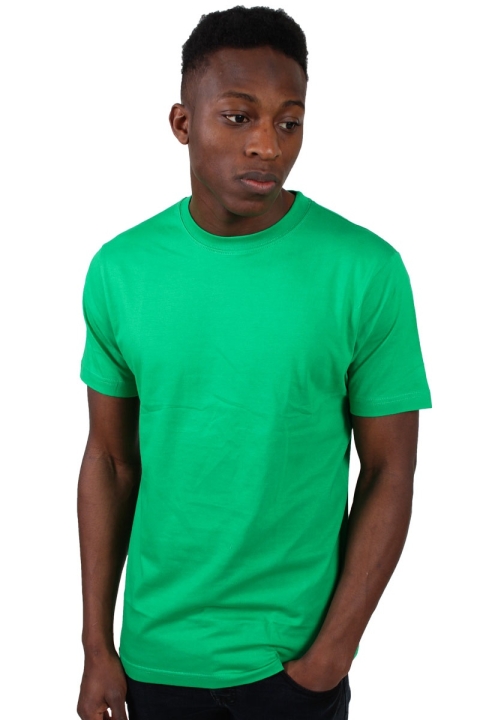 Basic Brand T-shirt Spring Green 