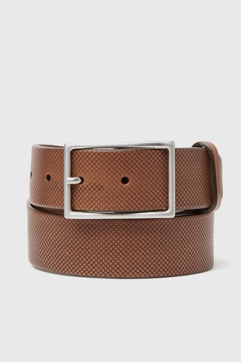 Saddler Tage Riem Brown