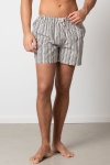 Clean Cut Copenhagen Swim Shorts Brown/Navy Striped