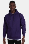 Basic Brand Hooded Sweat Violet