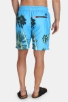 Superdry Premium Neo Photo Swim Shorts La Sky