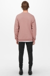 ONLY & SONS ONSCERES LIFE CREW NECK NOOS Burlwood