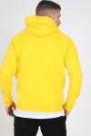 Denim Project Box Logo Hoodie Yellow