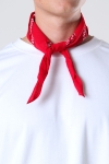 EVERYDAY Filuca Bandana Red