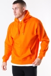 Basic Brand Hooded Sweat Orange