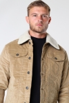 Jack & Jones JJIALVIN JJSHERPA CORDUROY AKM SN Kelp