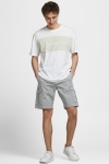 Jack & Jones JOE CARGO SHORTS Ghost Gray