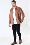 Levis Haight Harrington Jas