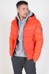 Jack & Jones Oscar Jas Hood Cherry Tomata