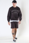 Jack & Jones JORTOBIAS SWEAT CREW NECK KA Seal Brown