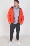 Jack & Jones Oscar Jas Hood Cherry Tomata