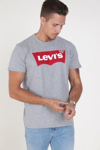 Levis Set-in Neck Graphic Midtone