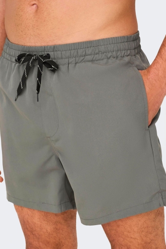 Ted Swim Shorts Castor Gray